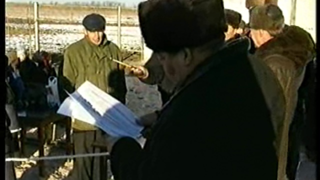 Для спасения российского конного бизнеса коневоды решили создать свою организацию