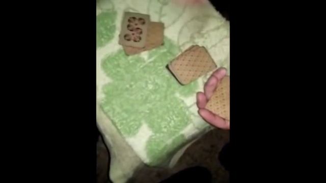 Шулера на строгом режиме учат играть в очко!