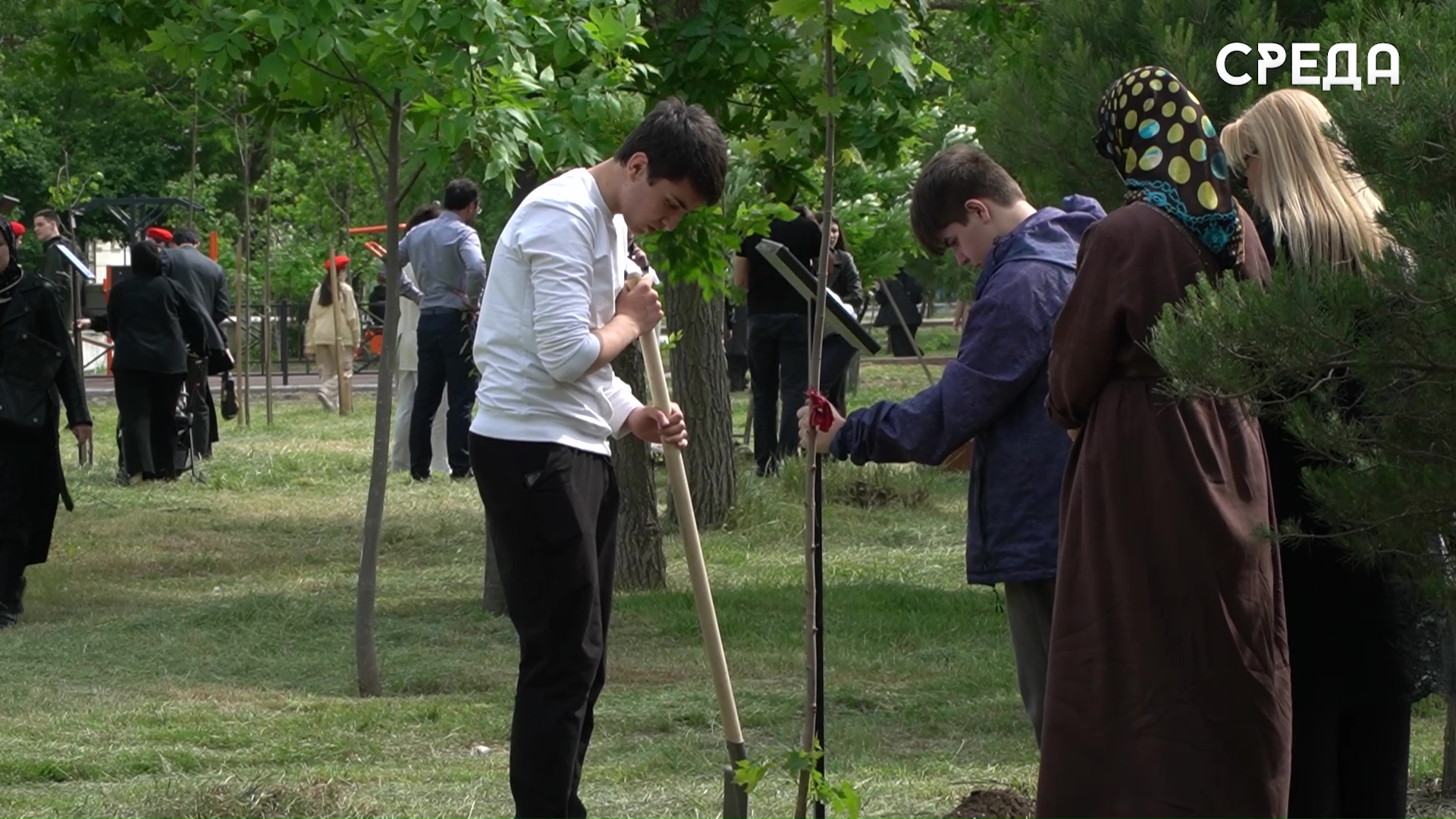 90 деревьев высажено в Каспийске в рамках акции "Сад памяти"