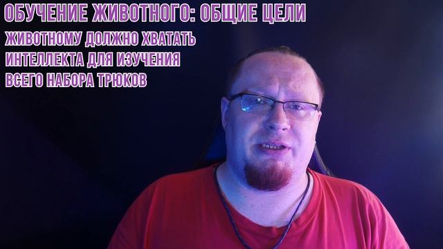 DnD 3.5 КАК ИГРАТЬ? УМЕНИЯ | Обращение с животными (Handle animal)