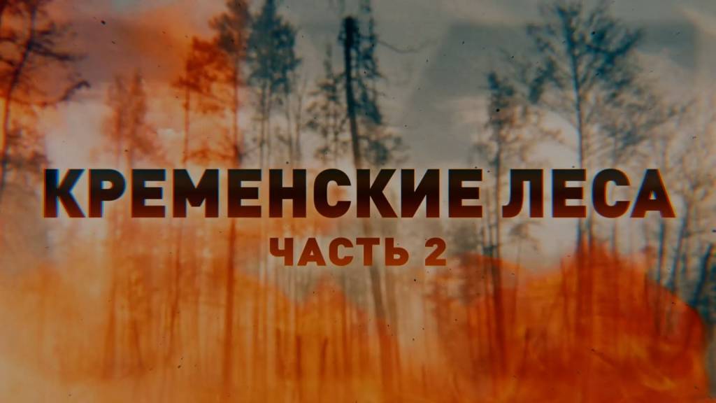 Эксклюзив из Кременских лесов: как миномётчики уничтожают опорники и живую силу ВСУ