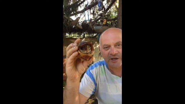 Щекино Шаповал жжет