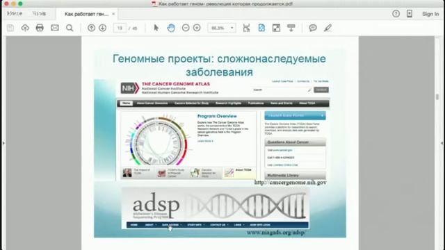 Как работает геном?