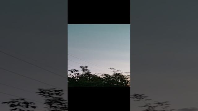 VID_20240818_192017.mp4