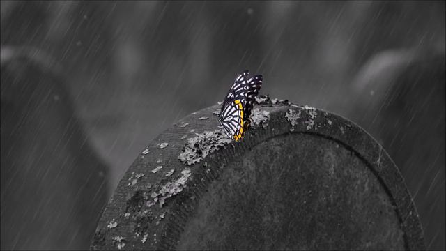 Most Emotional Instrumental Music  Relaxing Music Sad Piano Violin Songs Playlist Mix Vol  3 2