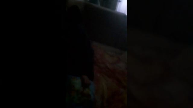 новый вид породы снюсоед абибас