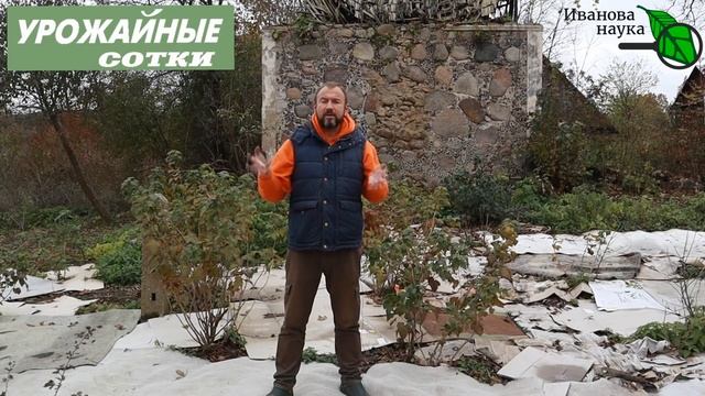 СЕКРЕТ ПОДКОРМКИ МАЛИНЫ после обрезки для ОГРОМНОГО УРОЖАЯ!