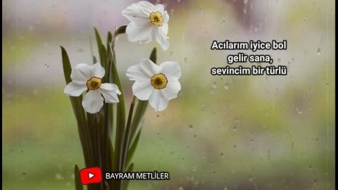 Attila İLHAN | Aysel Git Başımdan