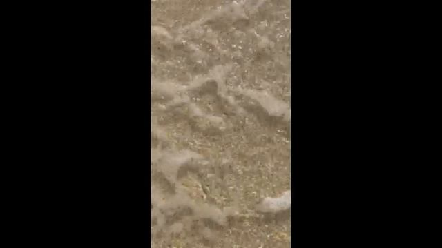 Как быстро заснуть! Ласковые звуки волн, сон за 5 минут! НЕГА.