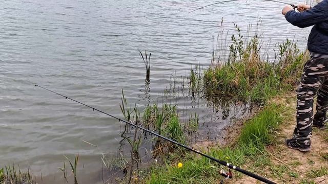 Попалась красотка форель на блесну Aura и 2.2 грамма от компании Mad Fish