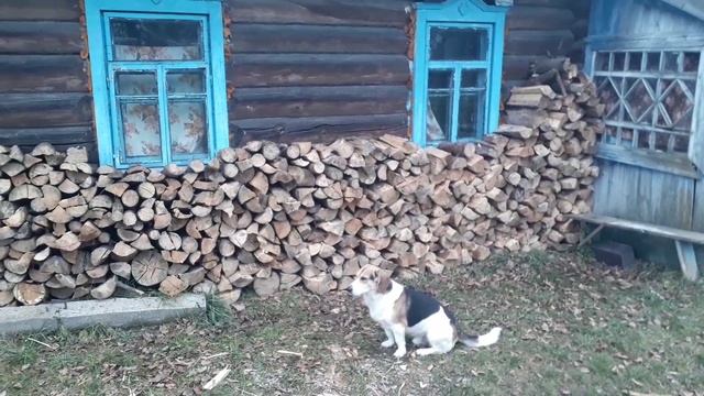 зимнее богатство...