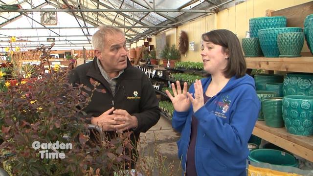Garden Time show 1  3-3-18