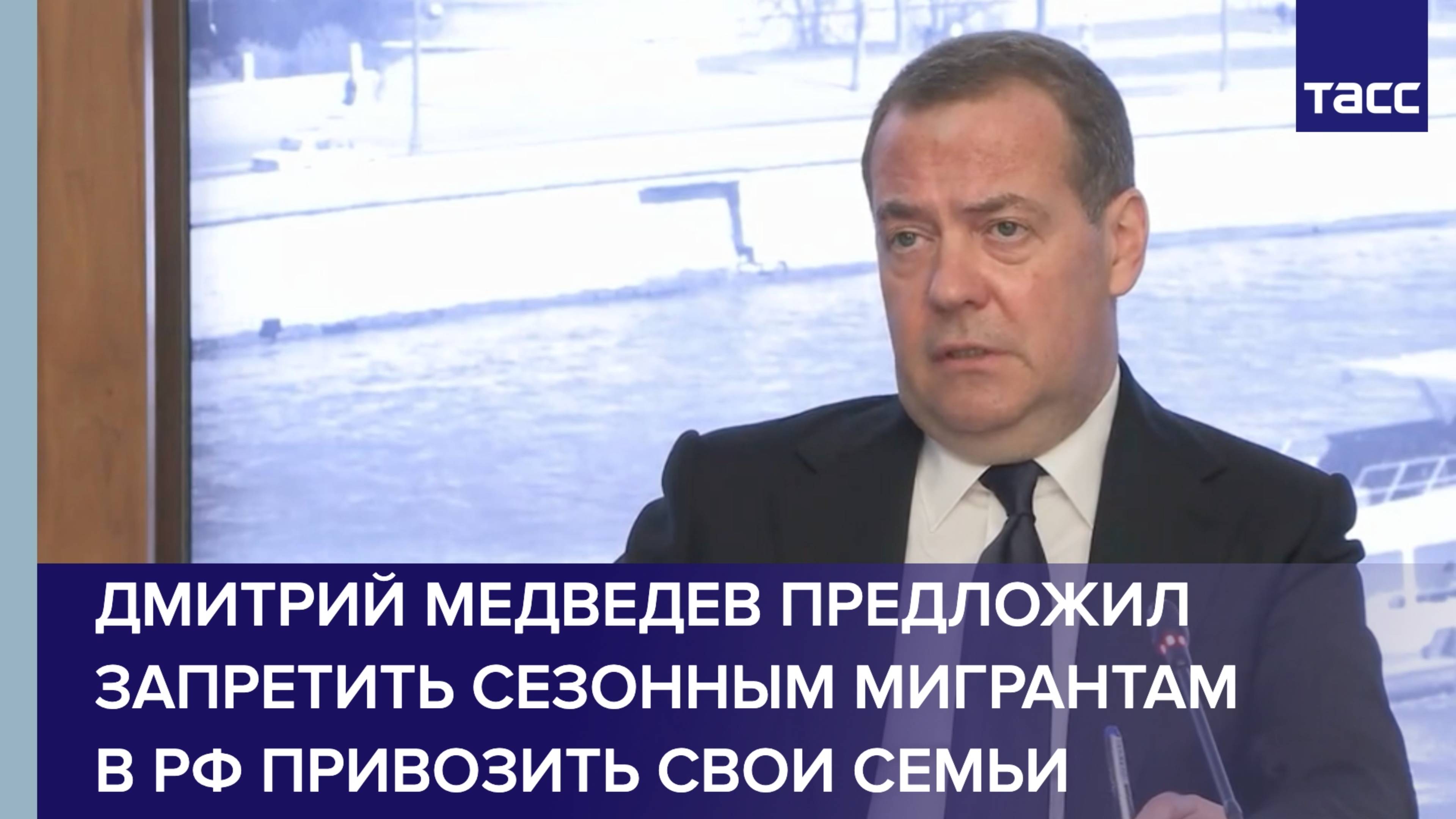 Дмитрий Медведев предложил запретить сезонным мигрантам в РФ привозить свои семьи