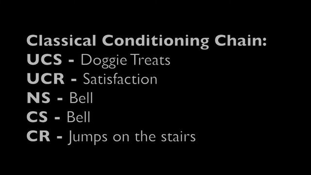Behavioral Modification Project