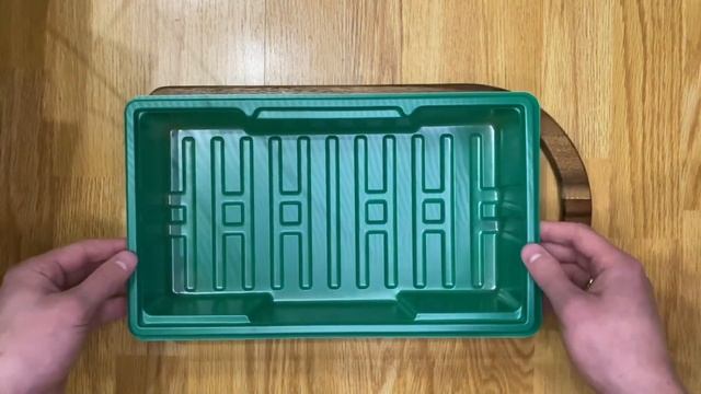 ЗАМИОКУЛЬКАС || Размножение