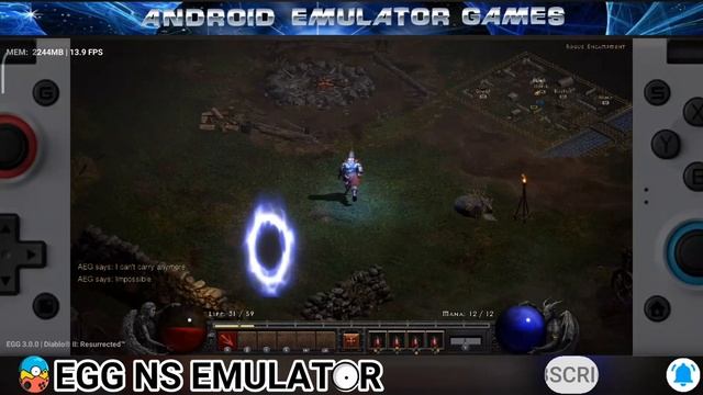EGG NS 3.0.0 Diablo 2: Resurrection Game test with settings