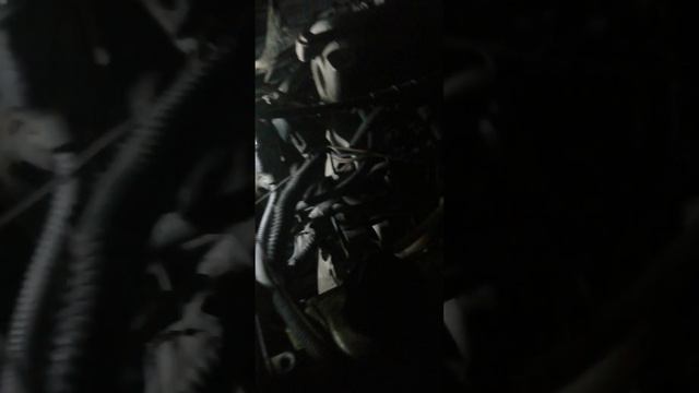 24 ноября 2023 г.
