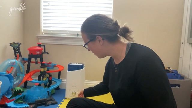 What is the Best Humidifier? // Kyvol Review