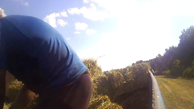 Как заработать много денег в Украинской деревне ?! Бизнес стратегия