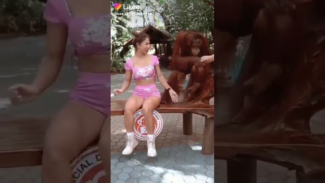 обезьяна а всё-таки мужик