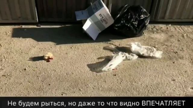 Мусорные баки возле Администрации Города Симферополь 2018