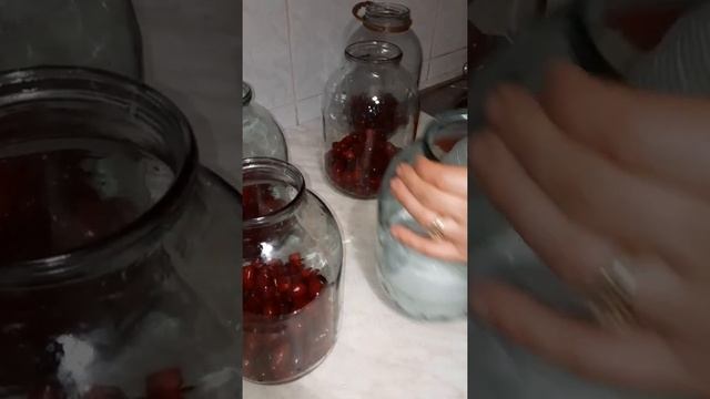 КОМПОТ ИЗ КИЗИЛА,ОЧЕНЬ ВКУСНО И ПОЛЕЗНО,ZOQAL KAMPOTU