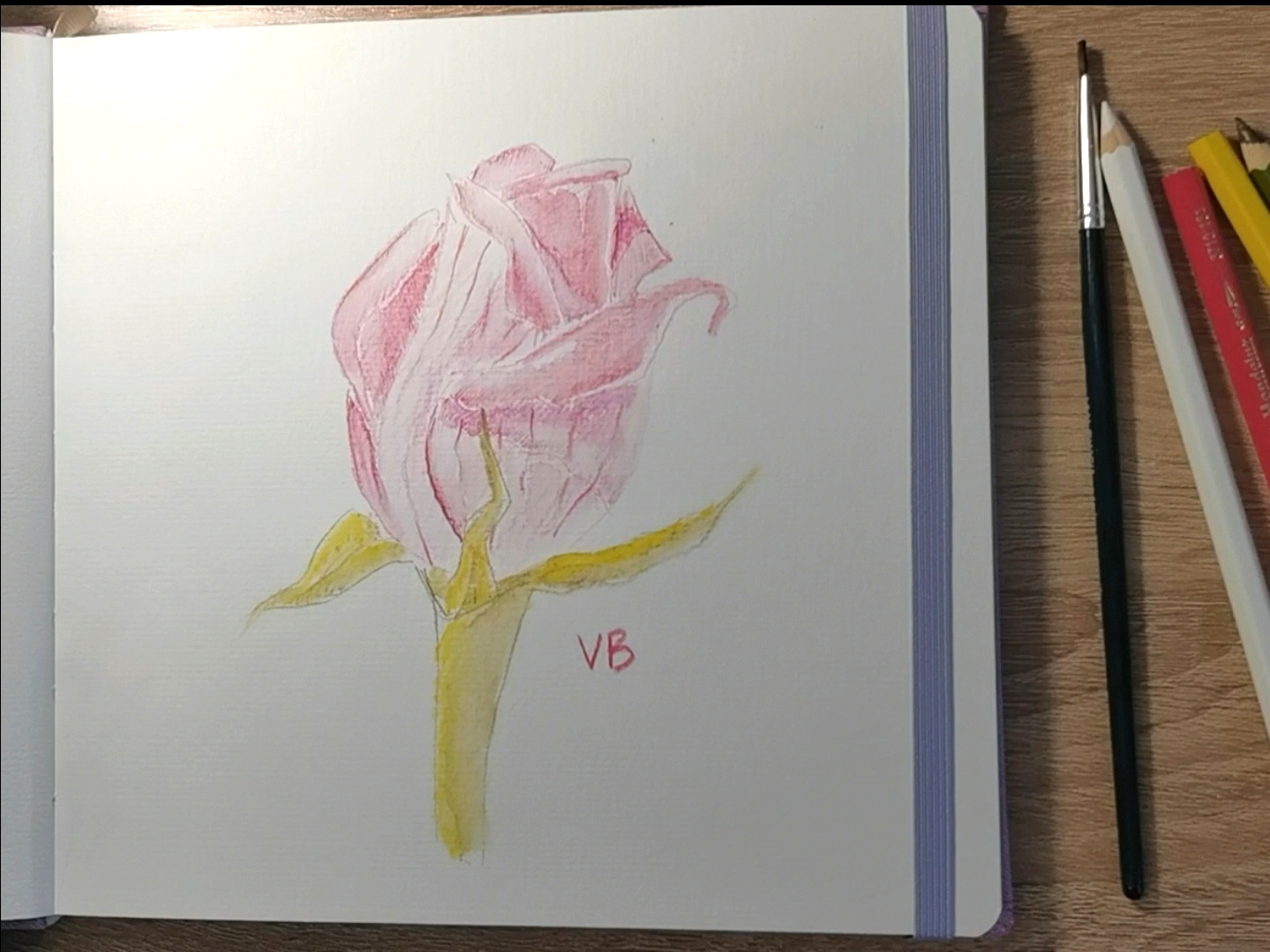 Роза акварельными карандашами || Учимся Рисовать
