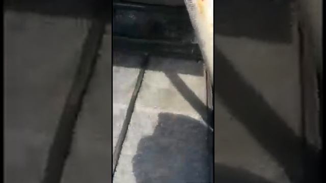 Дражные ковры Сибкрасполимер в Таджикистане
