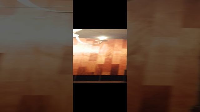 Радищева.mp4