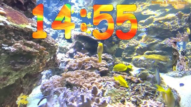 30 Minute Aquarium Timer/Countdown With Relaxing Music ??|Cuenta Regresiva de 30 Minutos con Música