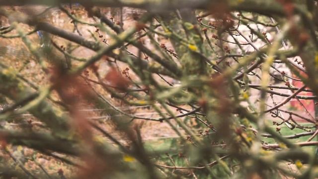 Lumix g7 graded 4K moir test 14-140 mm