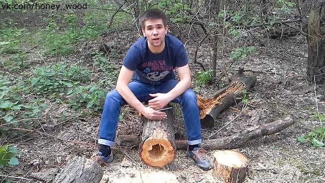 Скворечник из дерева своими руками