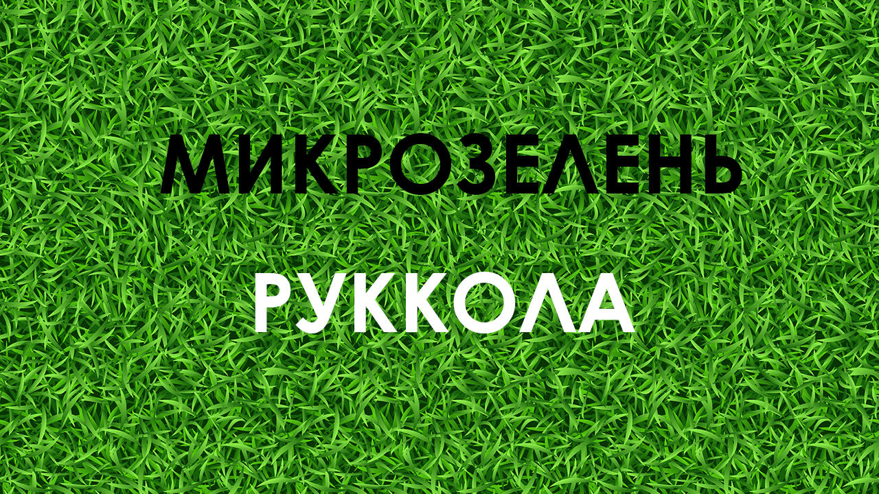 Руккола_микрозелень