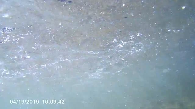 Detector De Metais Pl_ King 750 Deu Ouro Com Pedrinhas De Diamante