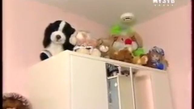 "Напросились".Ирина Салтыкова.2006 год.