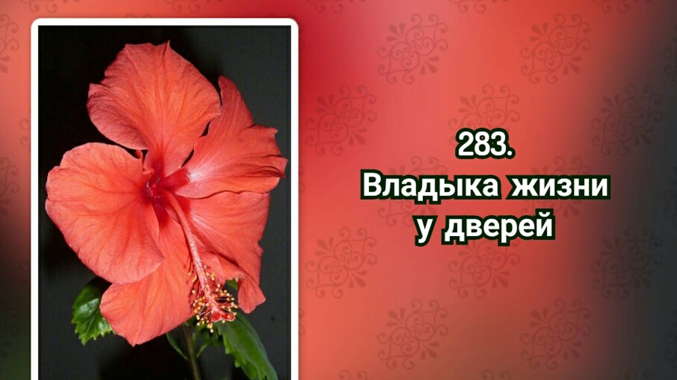 Гимны надежды 283 Владыка жизни у дверей (-)