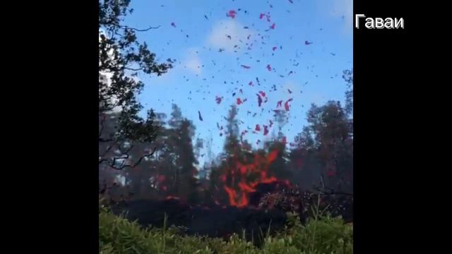 Что произошло и случилось сегодня на земле What happened today on earth Посмотрим 1