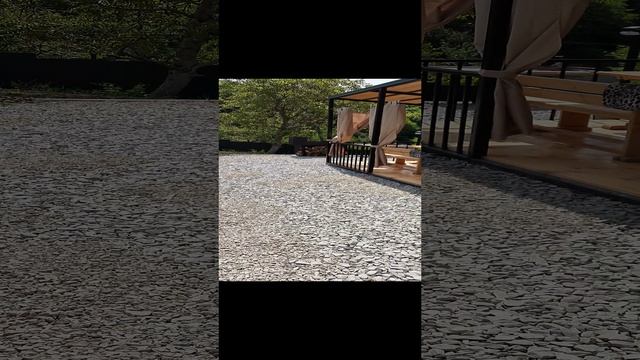 20230513_112513.mp4