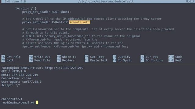 How Do I Forward Client IP Instead Of Proxy IP In Nginx Reverse Proxy? | #programming
