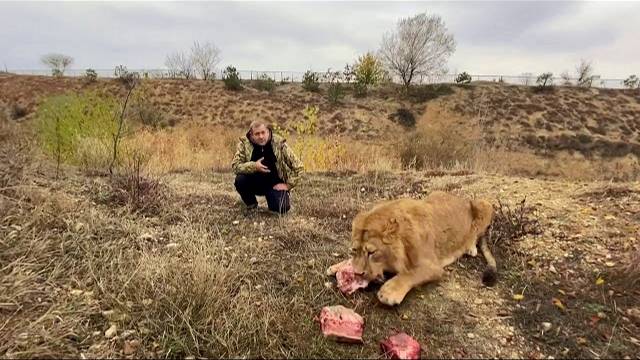 Такого нападения мы от льва Руслана ЯВНО НЕ ОЖИДАЛИ !