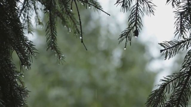 Музыка для сна релакс