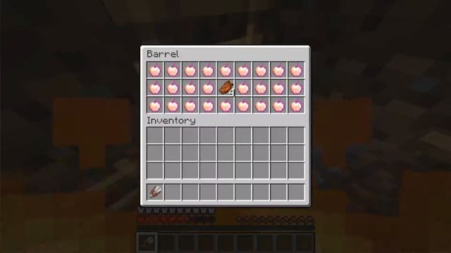 this cursed Minecraft video will trigger you... (1.16)