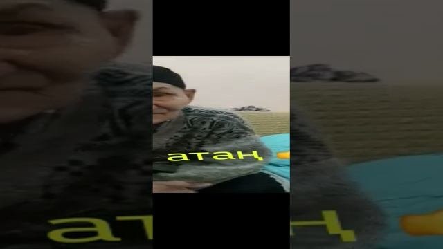 VID-20220608-WA0001.mp4