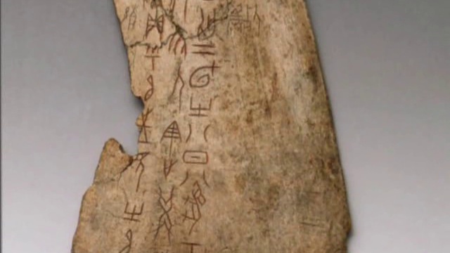 The First Dynasties