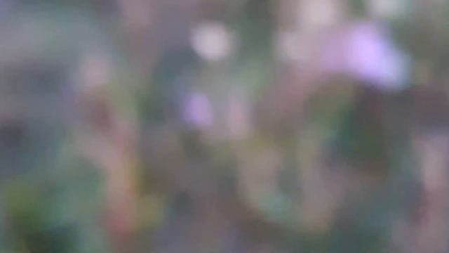 береговой омск омскаяобласть