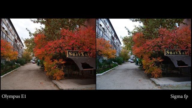 Sigma fp vs Olympus E-1, Full frame vs Four thirds, CMOS vs CCD, Sony vs Kodak