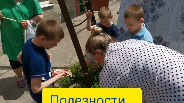 Поздравление семьи Крыловых.mp4