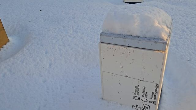 Пасека зимой. 20 декабря 2023 год