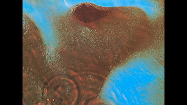 Pink Floyd - Meddle Full Album HD
