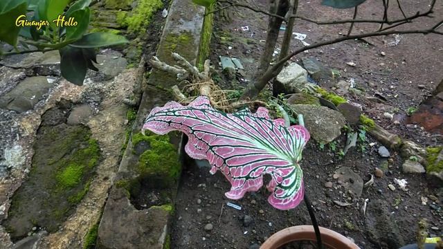 CANTIK BANGET TALAS BATIK PINK ‼️